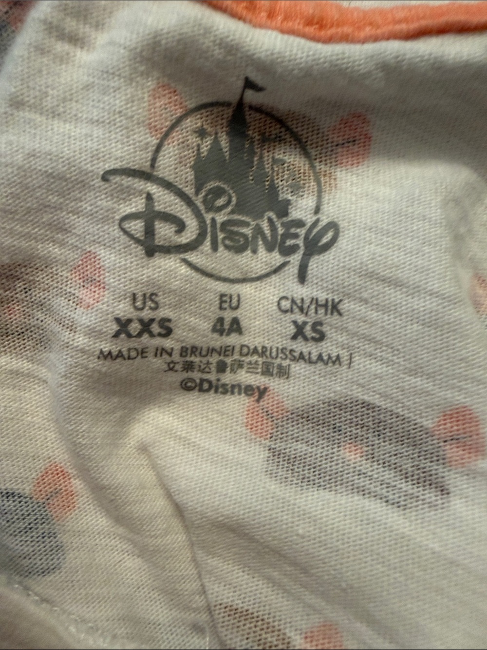 Disney Parks Collection Remy Ratatouille Ride Shirt - Picture 5 of 6